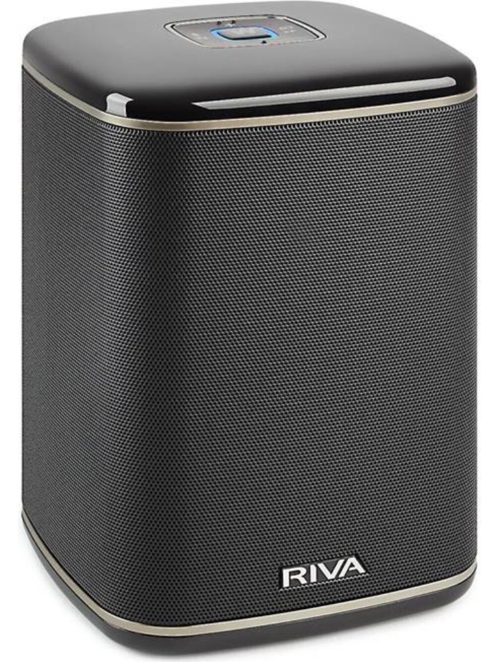RIVA ARENA Multi-Room Bluetooth/Wi-Fi Speaker
